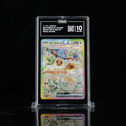 Eevee ex #223 | TAG 10 #U9313425 | Pokemon Terastal Fest ex
